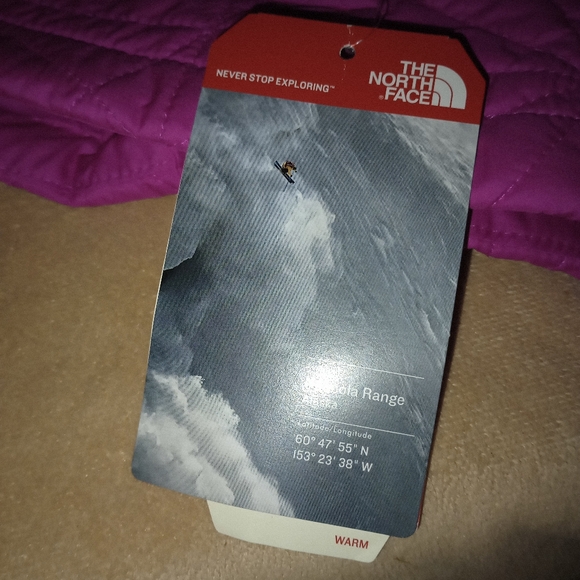 NWT The North Face Tamburello Jacket Pink Women's Size Small - Picture 10 of 11